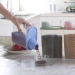 Single grain dispenser