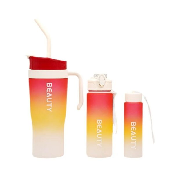 3in1 plastic tumbler set