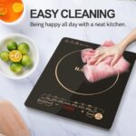 Electric Magnetic cooker