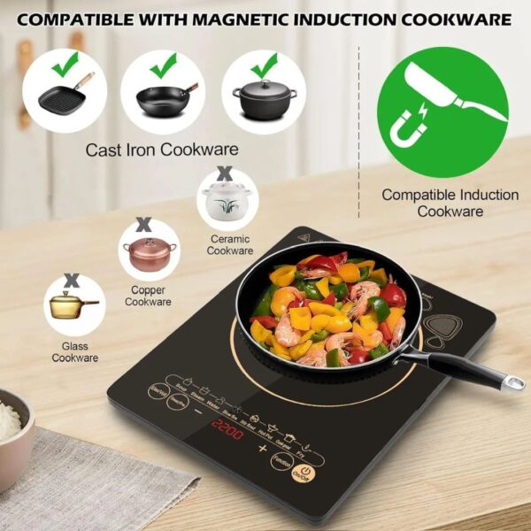 Electric Magnetic cooker