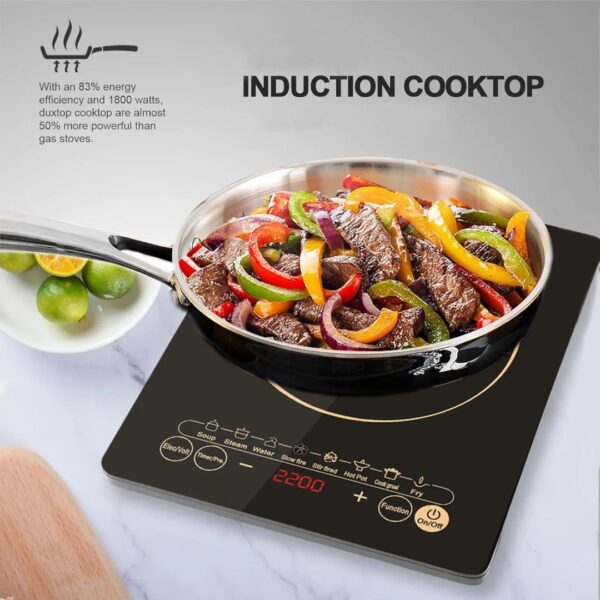 Electric Magnetic cooker
