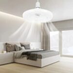 Multi functional fan with light