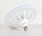 Multi functional fan with light