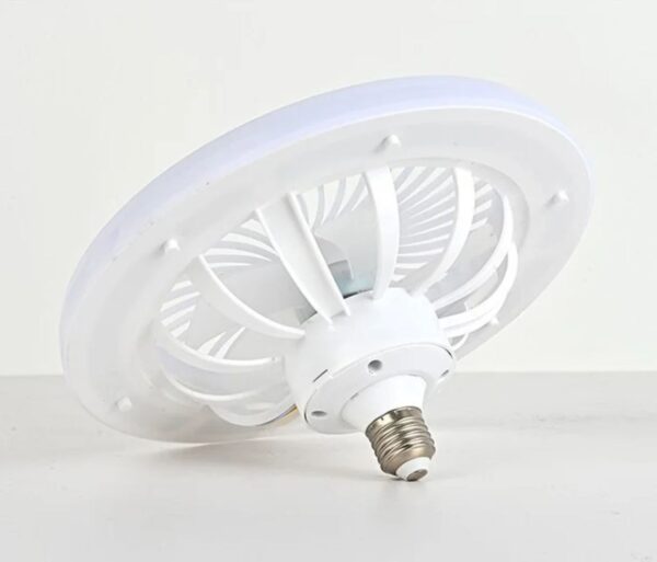 Multi functional fan with light