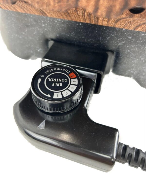 12 liters electric cooker