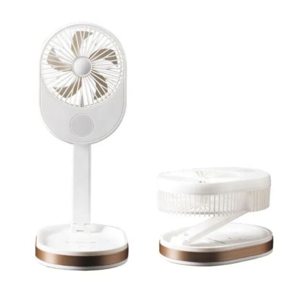 Folding Fan R8