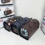 Bag shaped Bluetooth