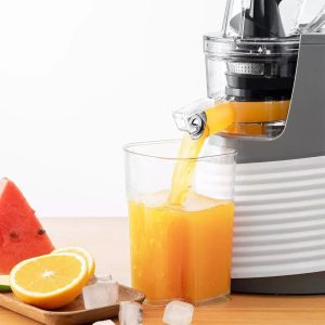 SOKANY Whole Slow Juicer - 300W