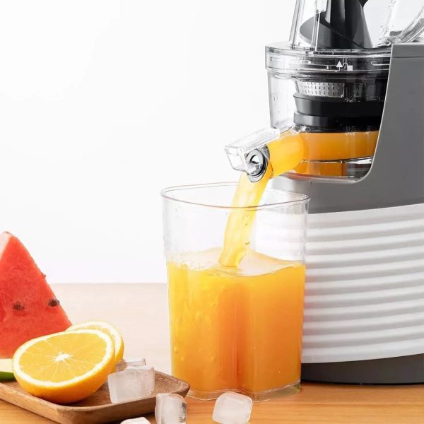 SOKANY Whole Slow Juicer - 300W