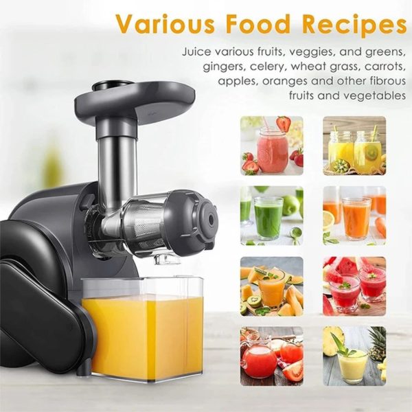 Aicok Slow Masticating Juicer