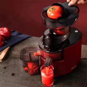 Sokany JE-25 Masticating Extractor Juicer