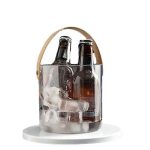 Portable Transparent Mini Ice Bucket and Storage Bin