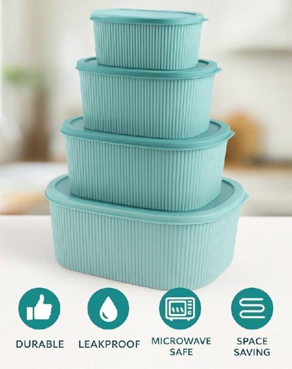 4 pcs Storage Containers