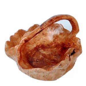 5983401146187894560_121