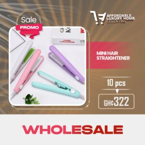 Mini Hair Straightener / 2-in-1 Portable Ceramic Flat Iron