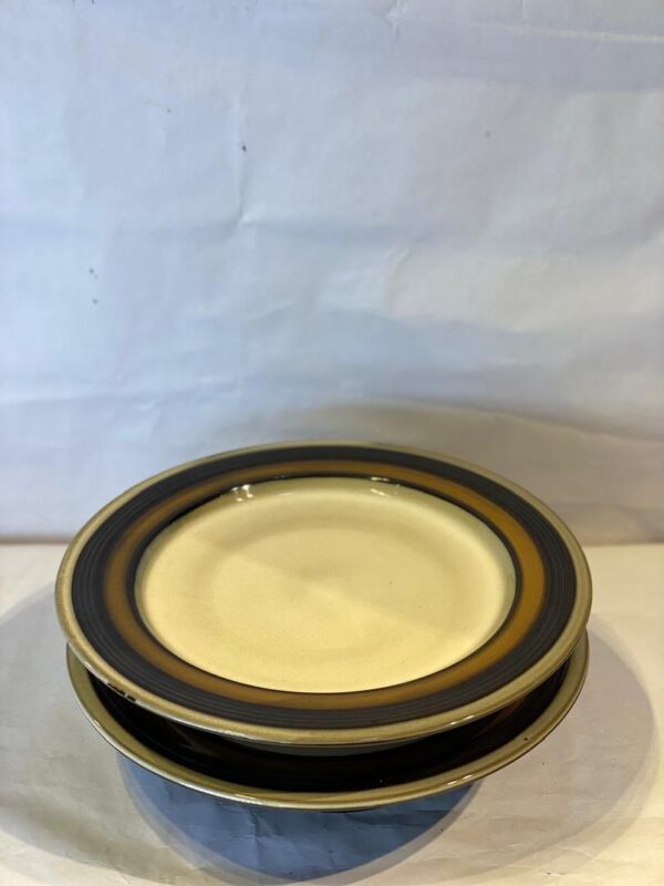 2 Pcs Ceramic Plates Set