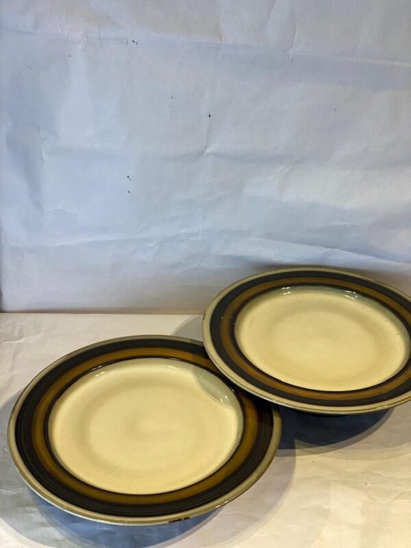 2 Pcs Ceramic Plates Set