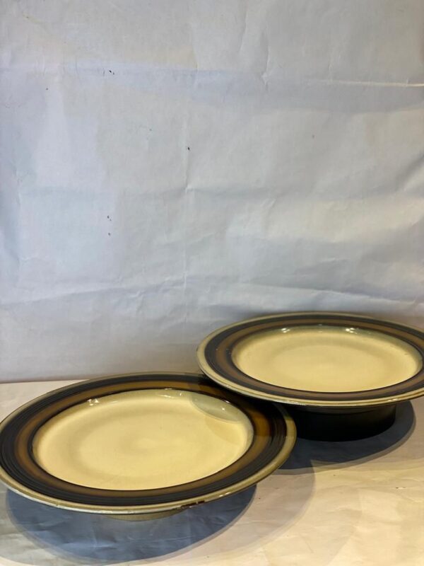 2 Pcs Ceramic Plates Set