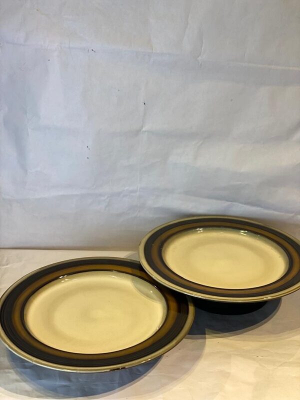 2 Pcs Ceramic Plates Set