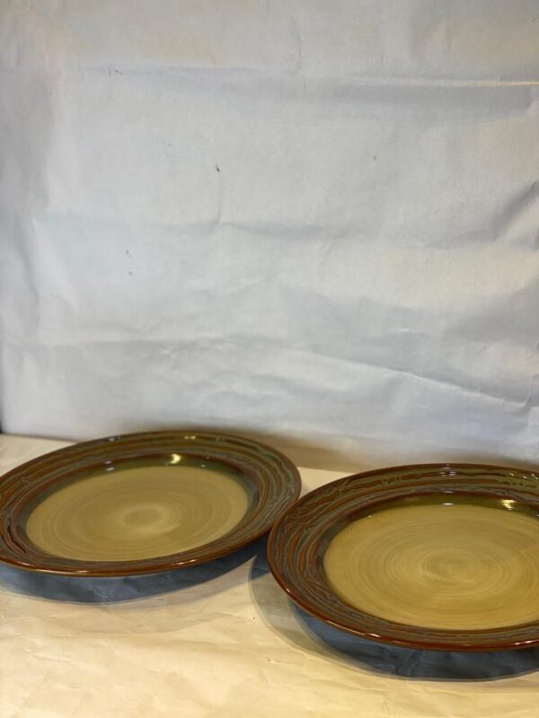 2 Pcs Ceramic Plates Set