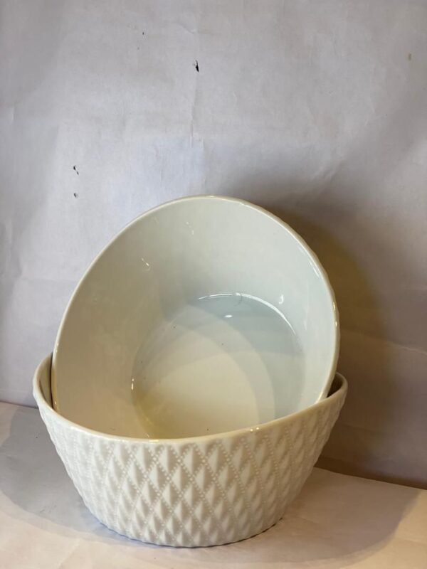 2 Pcs Ceramic bowl Set