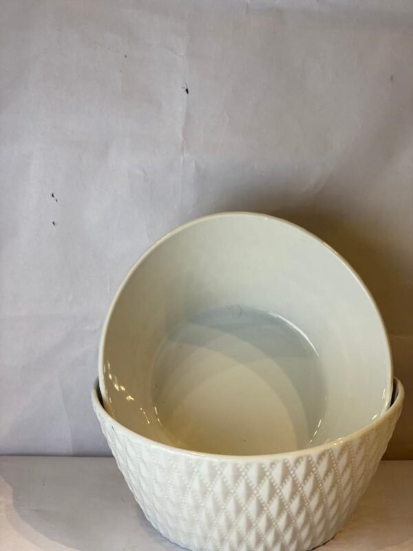2 Pcs Ceramic bowl Set