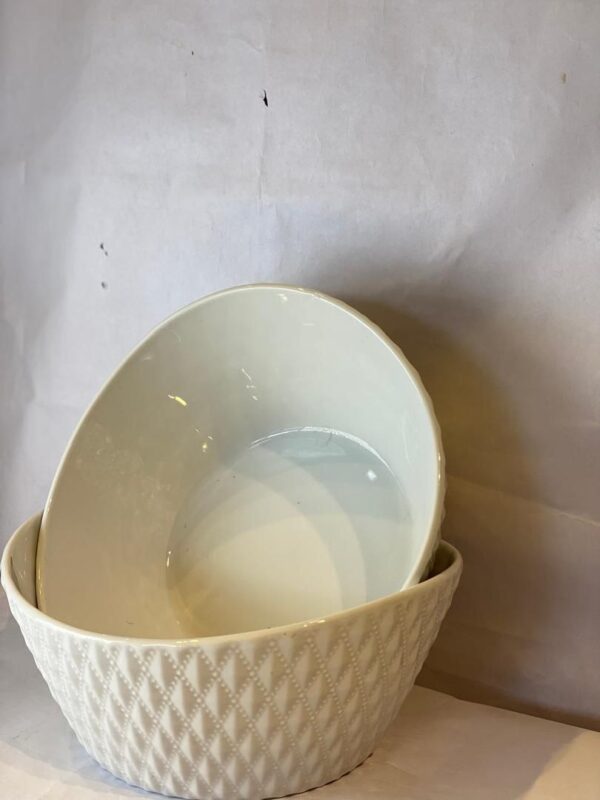 2 Pcs Ceramic bowl Set