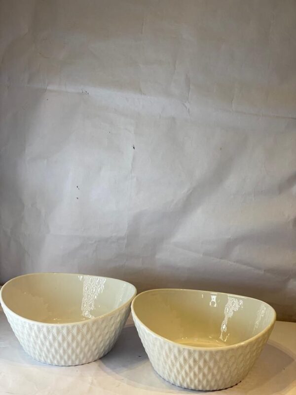 2 Pcs Ceramic bowl Set