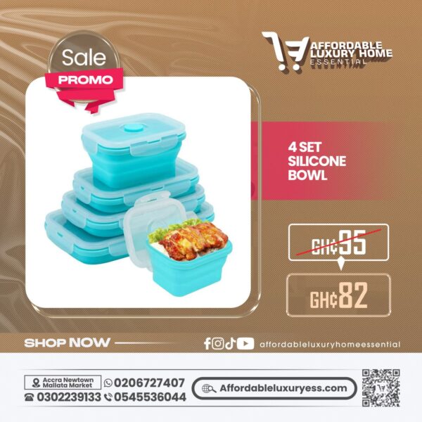 4 Set Silicone Bowl / Collapsible Silicone Food Storage Containers
