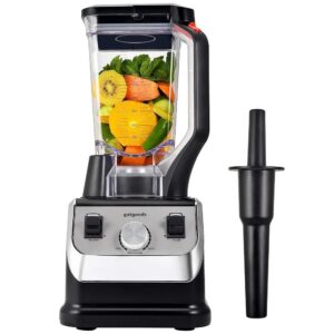 2 Liters High Quality Blender (2200W Professional Grade)
