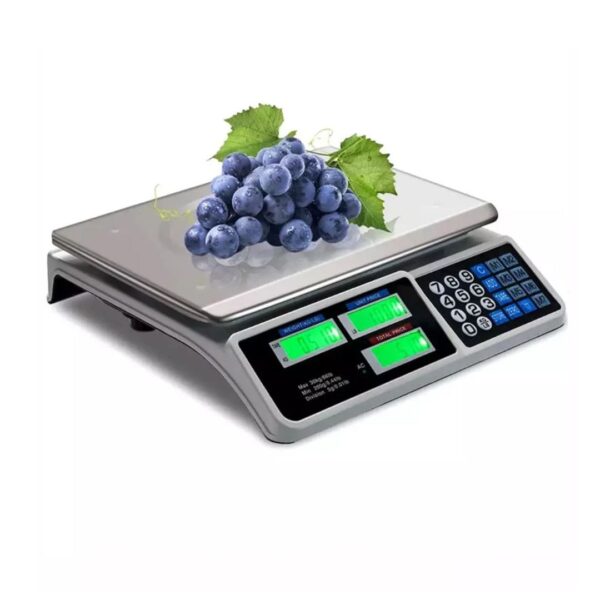 Digital Electronic Price Computing Scale (30/40kg)