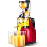 Silver Crest Cold Press Masticating Slow Juicer