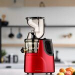 Silver Crest Cold Press Masticating Slow Juicer