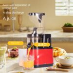 Silver Crest Cold Press Masticating Slow Juicer