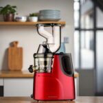 Silver Crest Cold Press Masticating Slow Juicer