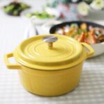 Enameled Cast Iron Dutch Oven