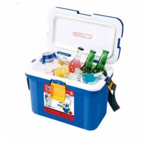 Portable Insulated Cooler Box (15 liters)