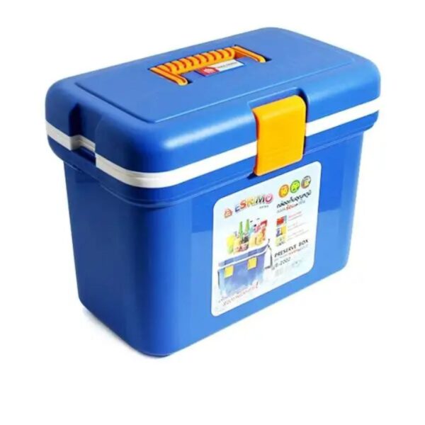 Portable Insulated Cooler Box (15 liters)