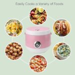 Minmax Multi-Functional Electric Rice Cooker