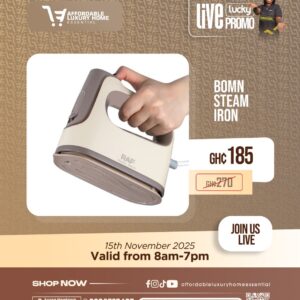 Handheld Mini Garment Steamer (Live Lucky Promo)