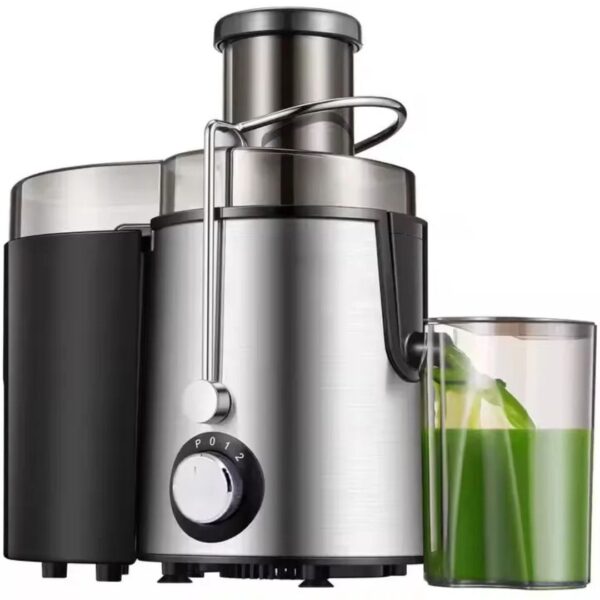 800W Dual-Speed Centrifugal Juicer Extractor