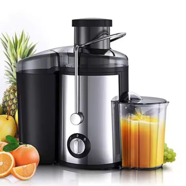 800W Dual-Speed Centrifugal Juicer Extractor