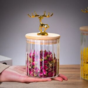 Royal Forestâ„¢ Small Glass Canister