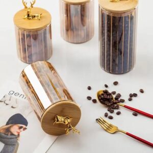 Royal Forestâ„¢ Large Glass Canister