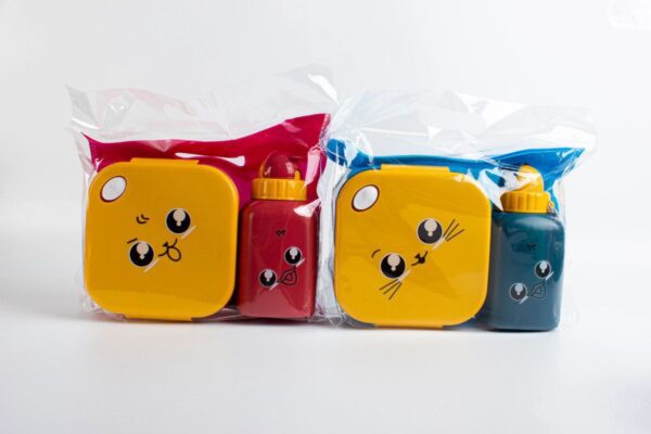 Kids Cartoon Lunch Box