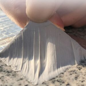 5776027042666630530_121