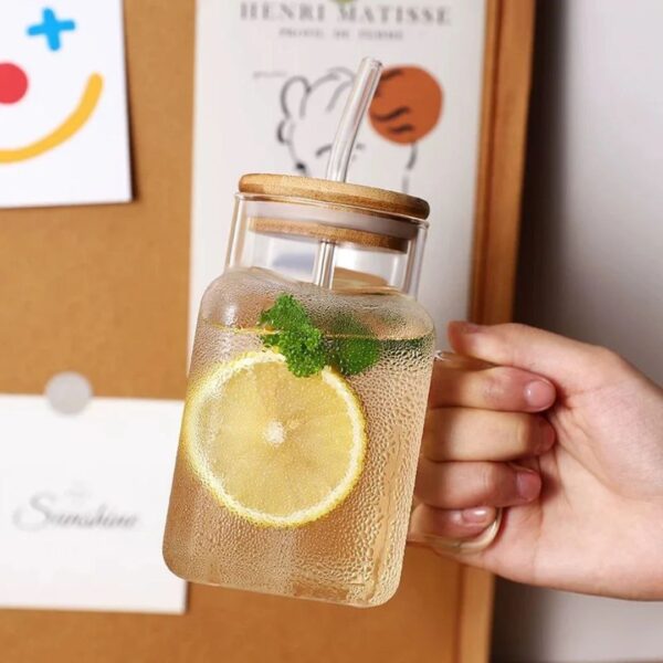 500ml Elite Borosilicate Glass Mug & Straw Set