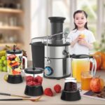 800W 4-in-1 Professional Centrifugal Juicer & Food Processor Set