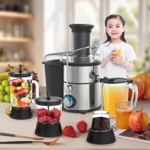 800W 4-in-1 Professional Centrifugal Juicer & Food Processor Set