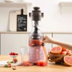 Sokany™ 300W Professional Whole Slow Masticating Juicer